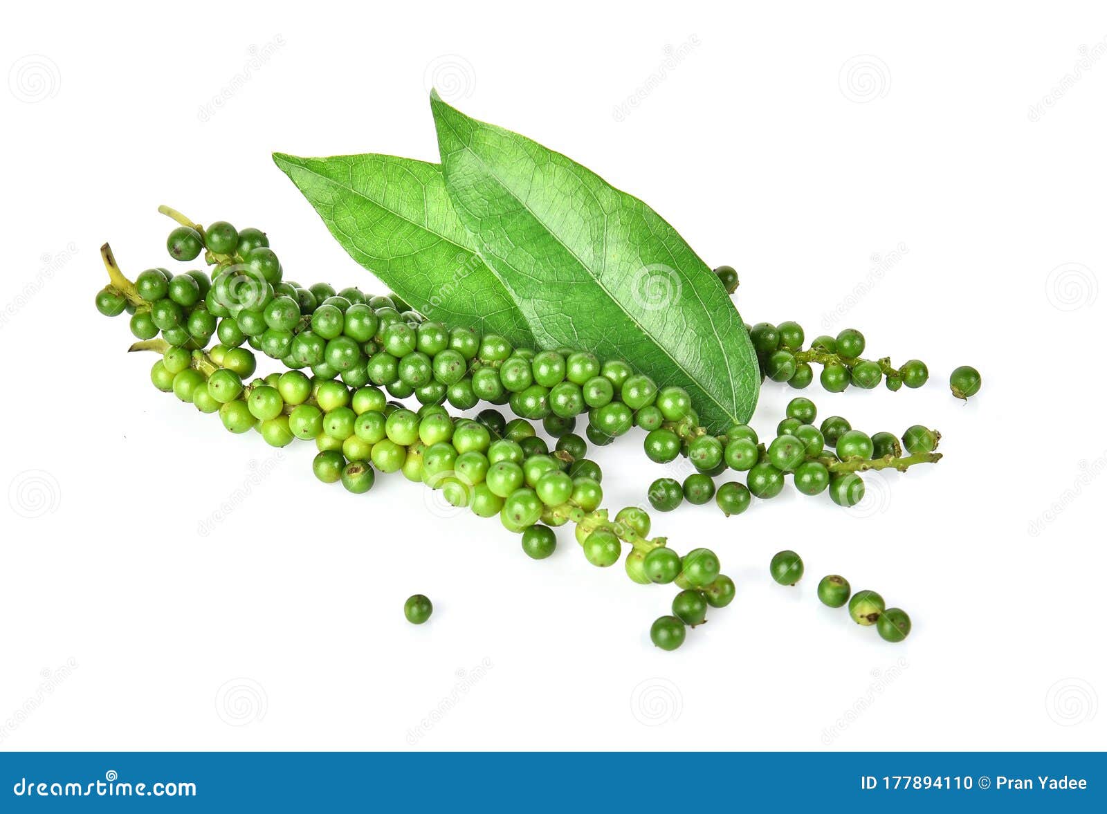 Fresh Green Peppercorns Isolated on White Background Stock Photo
