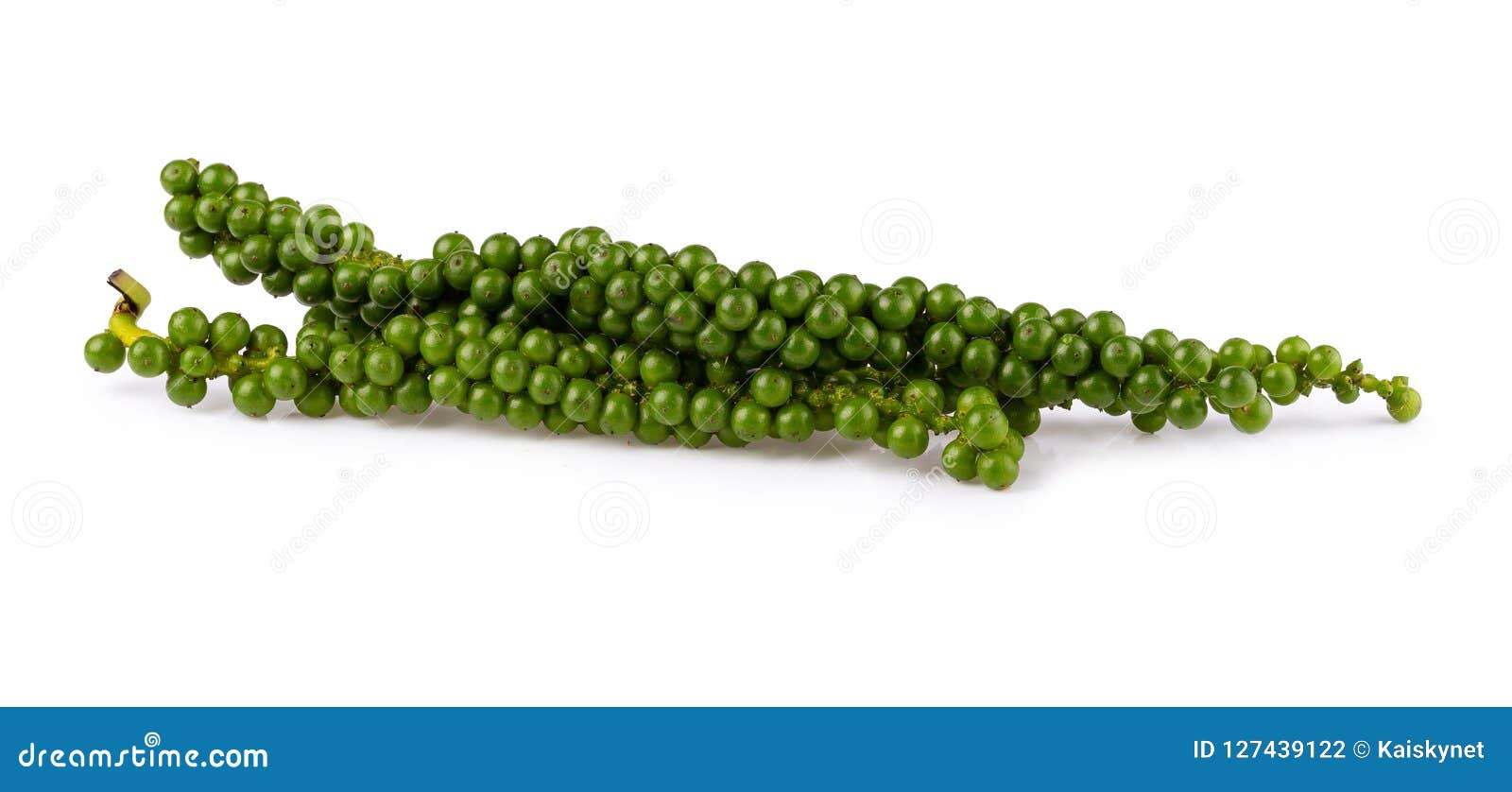 Fresh Green Peppercorns Isolated on a White Background with Clip Stock