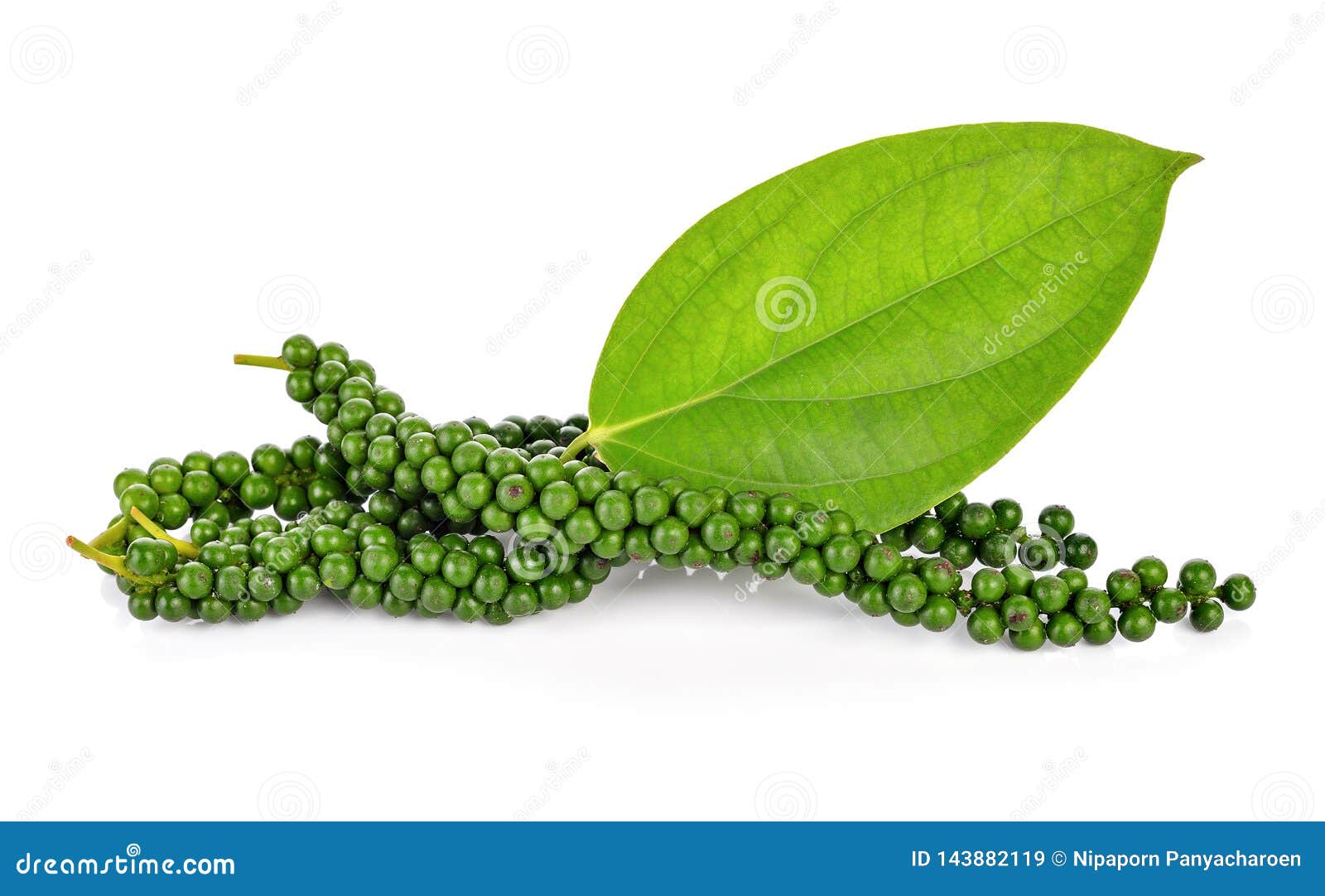 Fresh Green Peppercorns on White Stock Image Image of flavoring