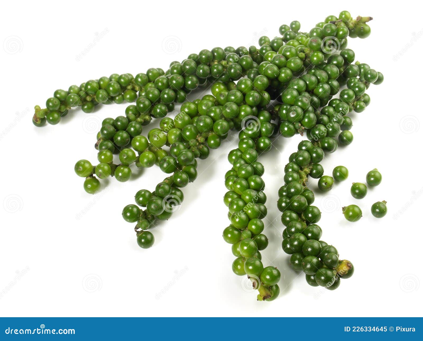 Fresh Green Peppercorns on White Background Isolated Stock Image