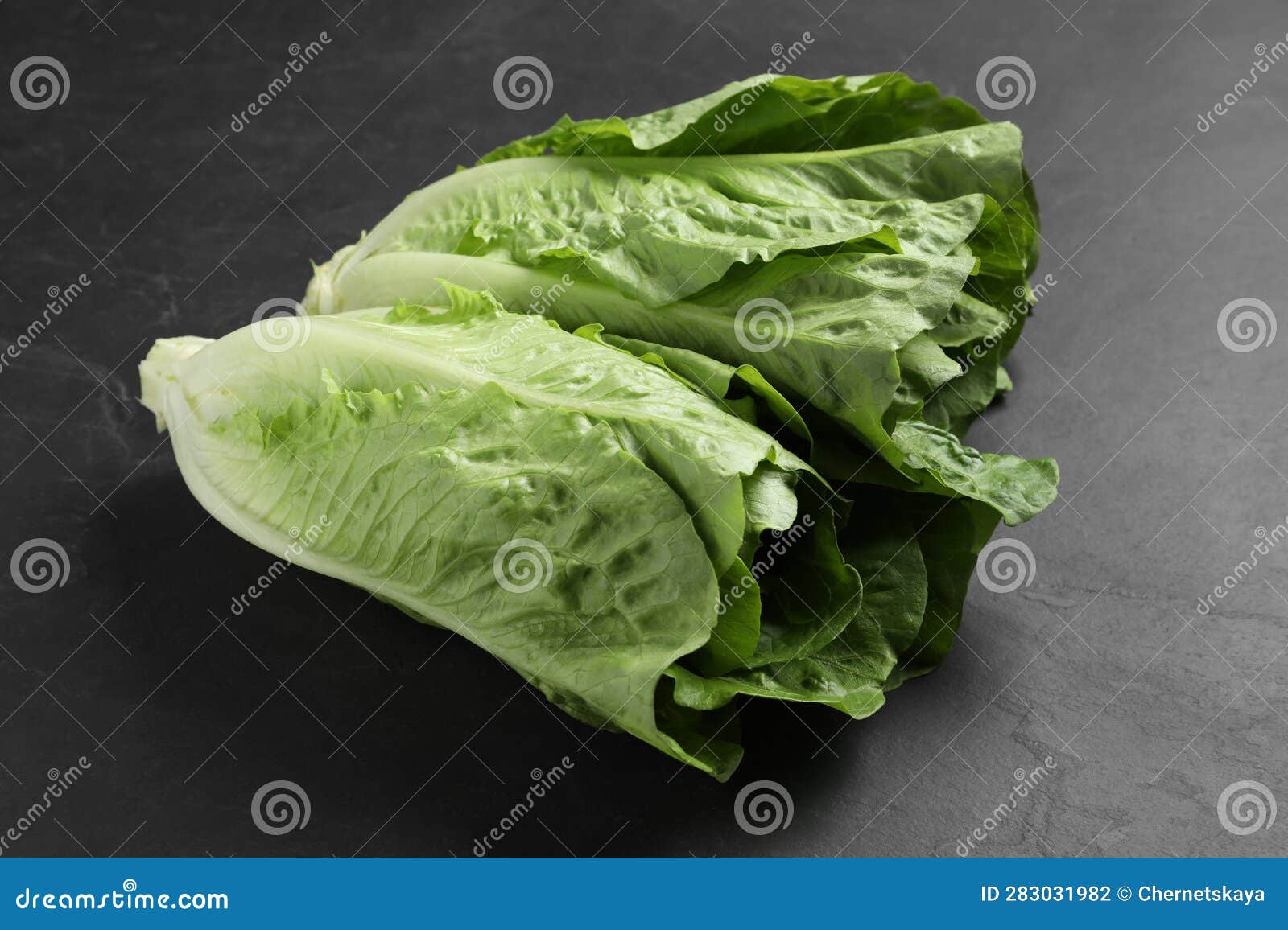 Fresh Green Romaine Lettuces on Dark Table Stock Photo Image of