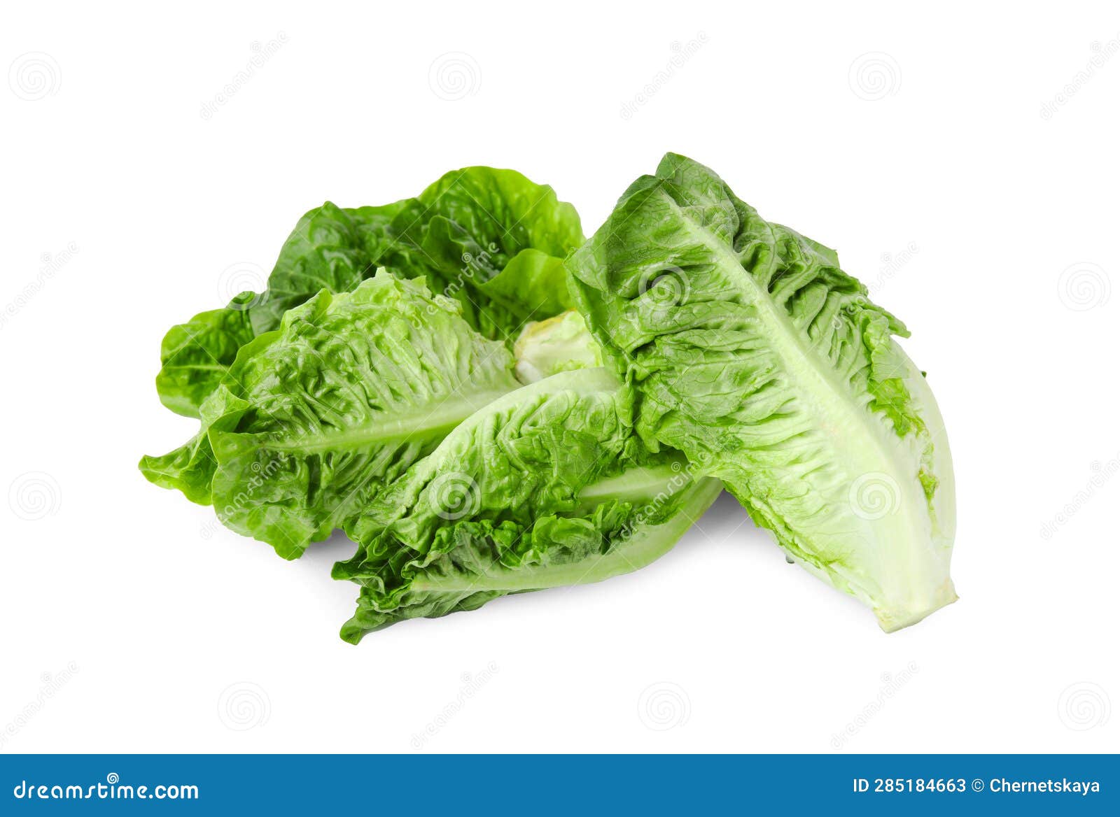 Fresh Green Romaine Lettuces Isolated on White Stock Image Image of