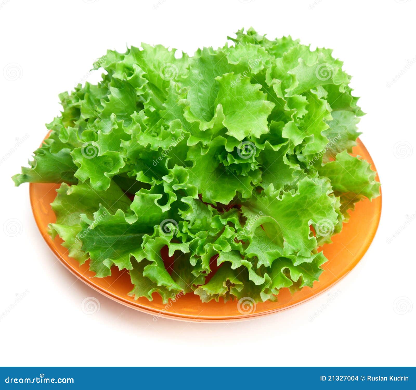 Fresh green salad stock photo. Image of bright, orange 21327004