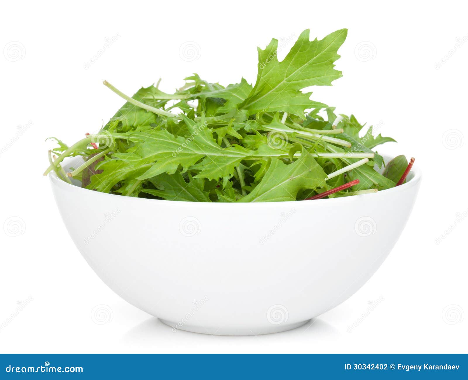 Fresh Green Salad in a Bowl Stock Photo Image of meal, color 30342402