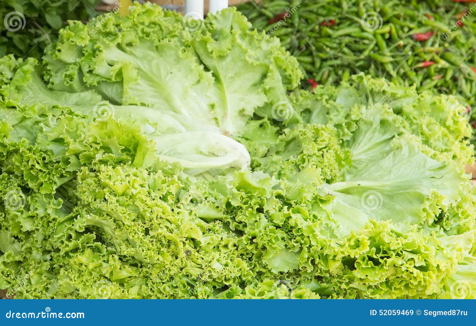 Fresh green salad stock image. Image of broccoli, circle 52059469
