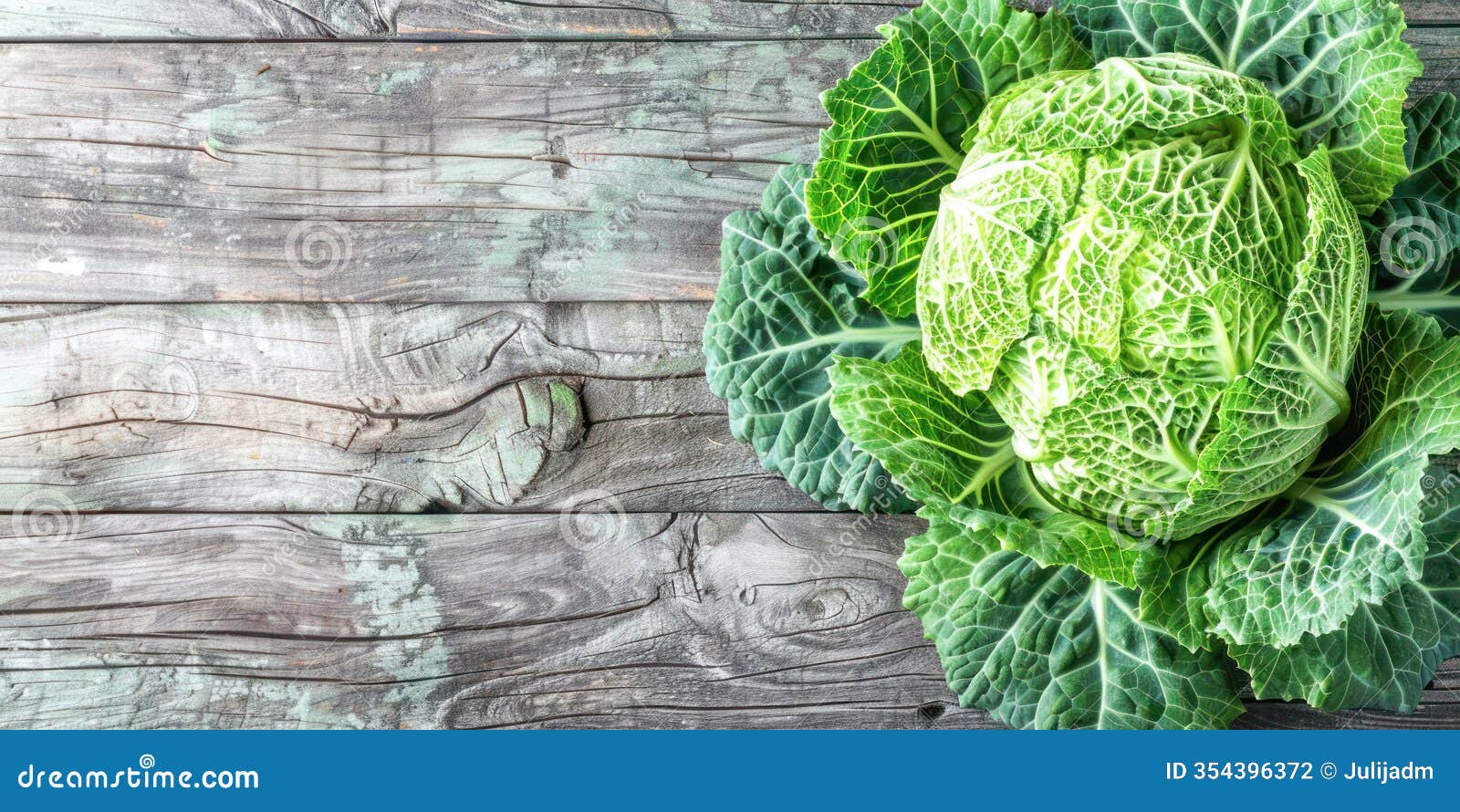fresh green savoy cabbage on a rustic wooden surface, highlighting its crisp and vibrant leaves. top view, copy space.
