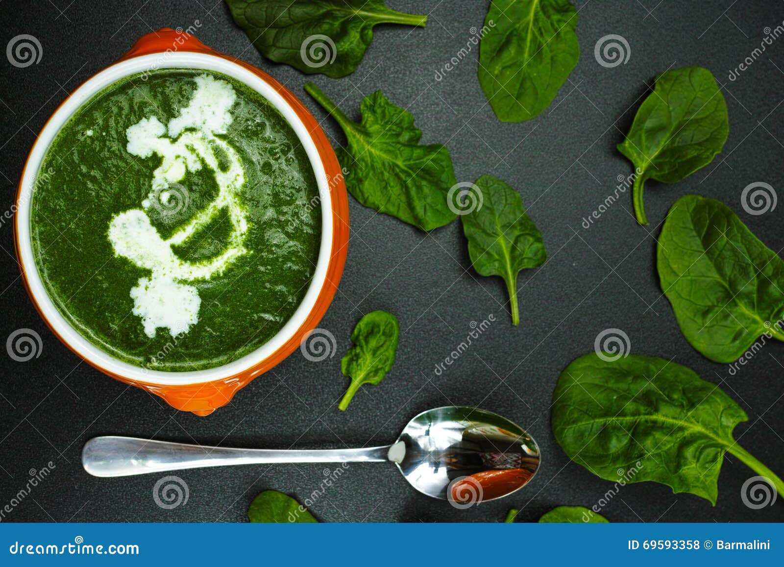Fresh green spinach soup stock photo. Image of plant 69593358