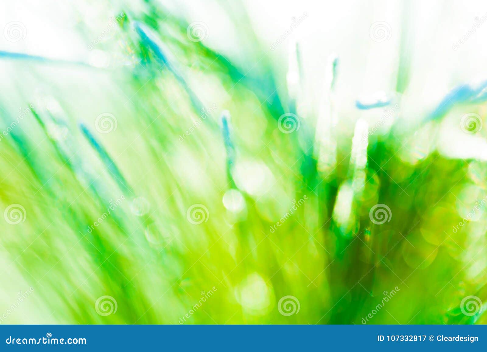 Fresh Green Spring Abstract Background Texture Stock Image Image of beautiful, closeup 107332817