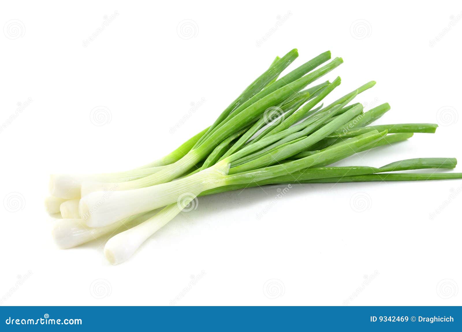 spring onion clipart - photo #44