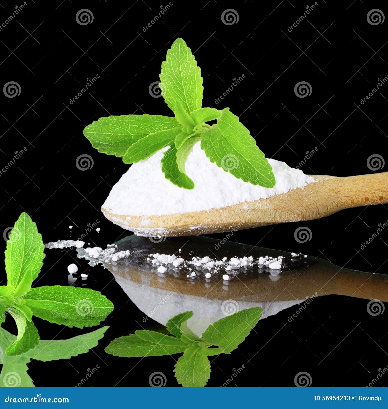 Fresh Green Stevia and Extract Powder on Black Background Stock Image