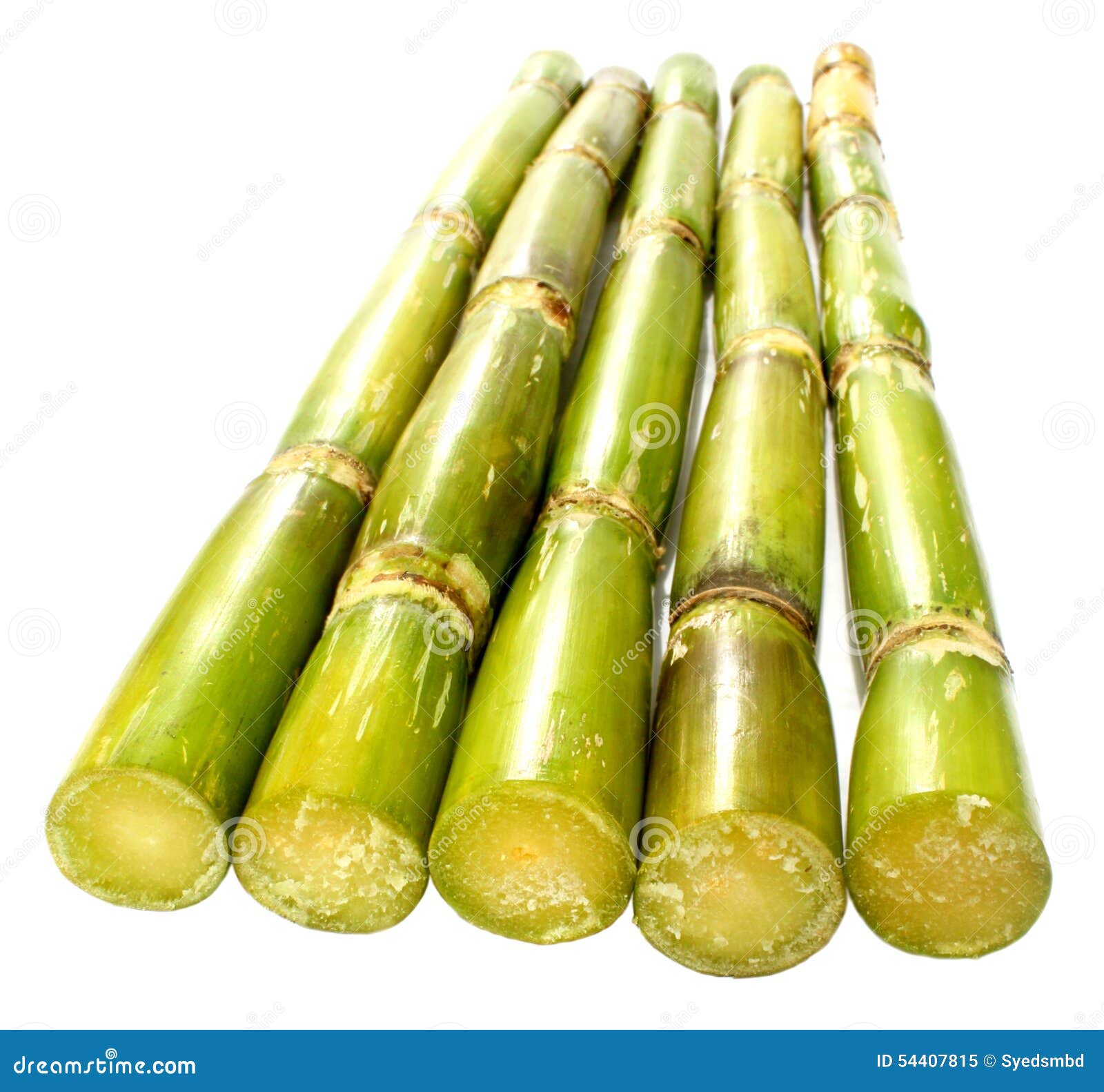 Fresh green sugarcane stock image. Image of herb, healthy 54407815