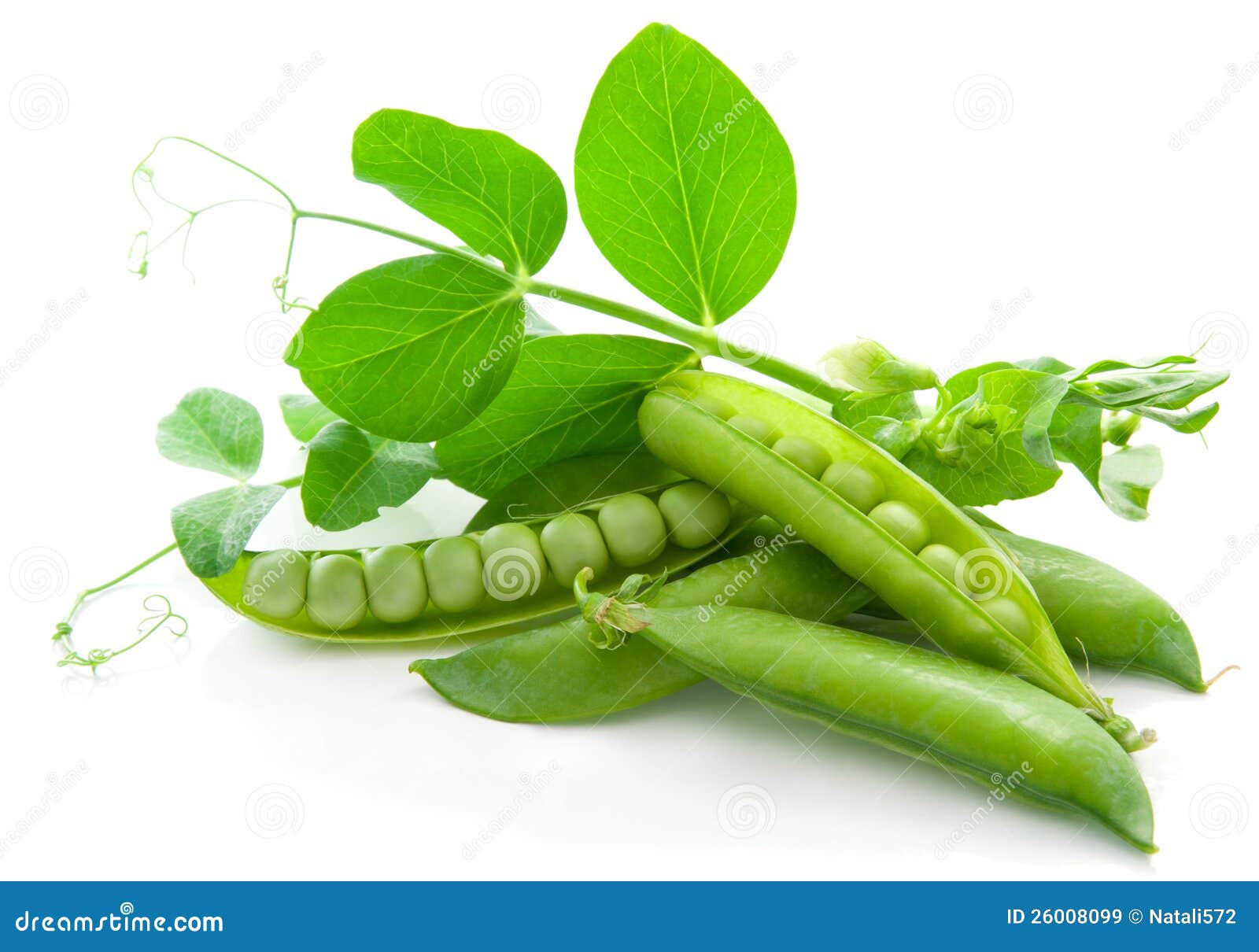 Fresh, green, sweet peas stock image. Image of calorie 26008099