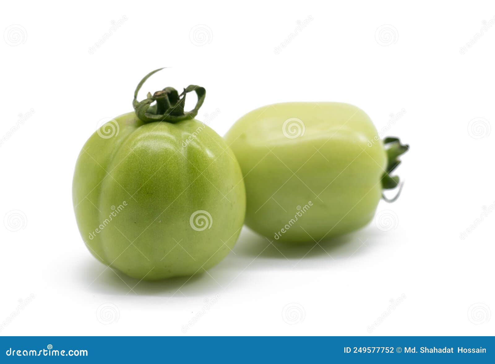 Fresh Green Tomatoes Isolated on White Background Stock Photo Image