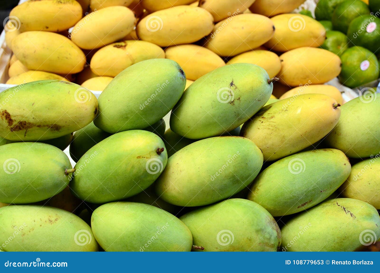 Fresh Green Unripe Mango Fruits Symmetrically To Attract Buyers at ...