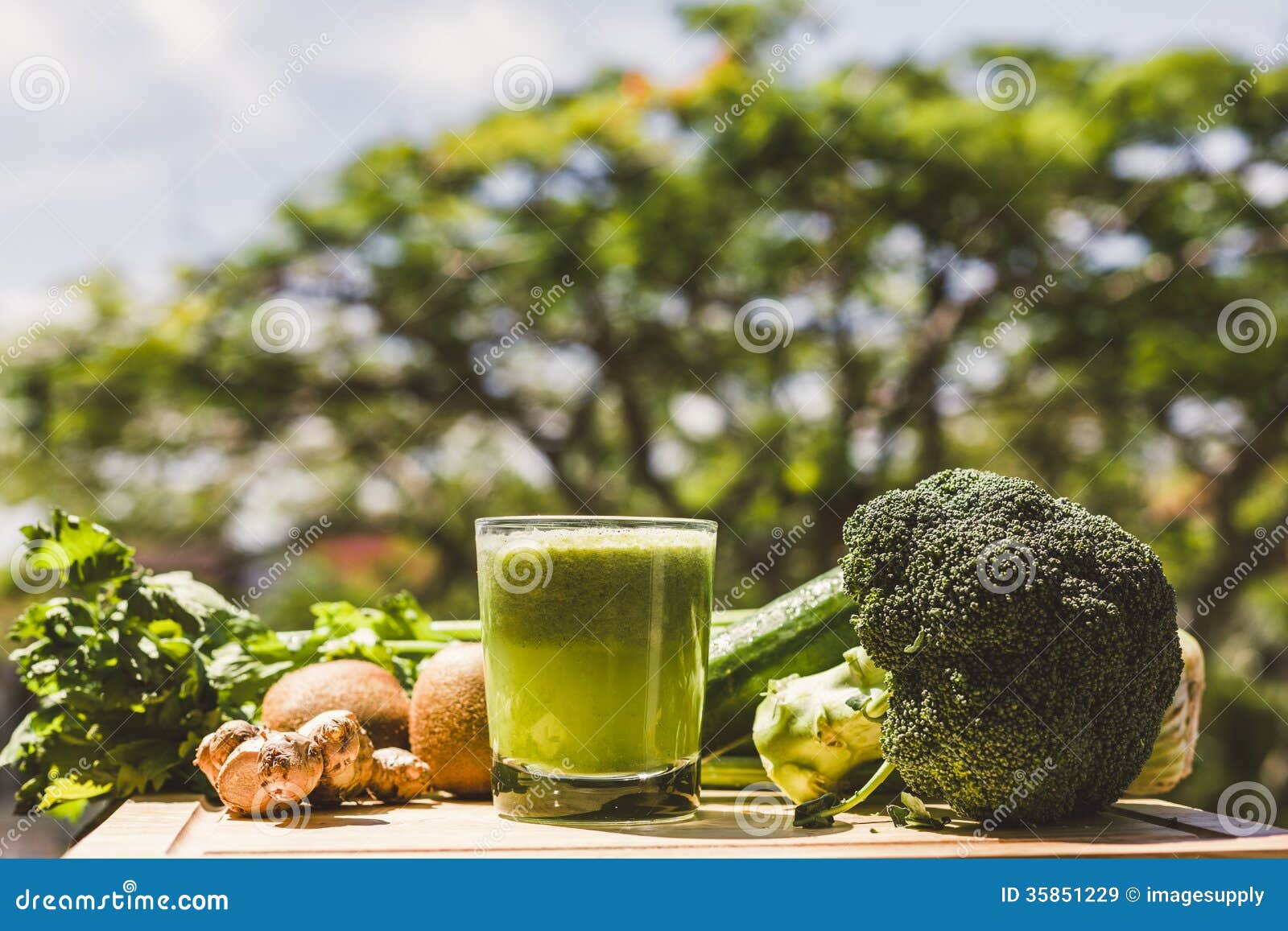 Fresh Green Vegetable Juice Stock Image Image of celery, kiwi 35851229