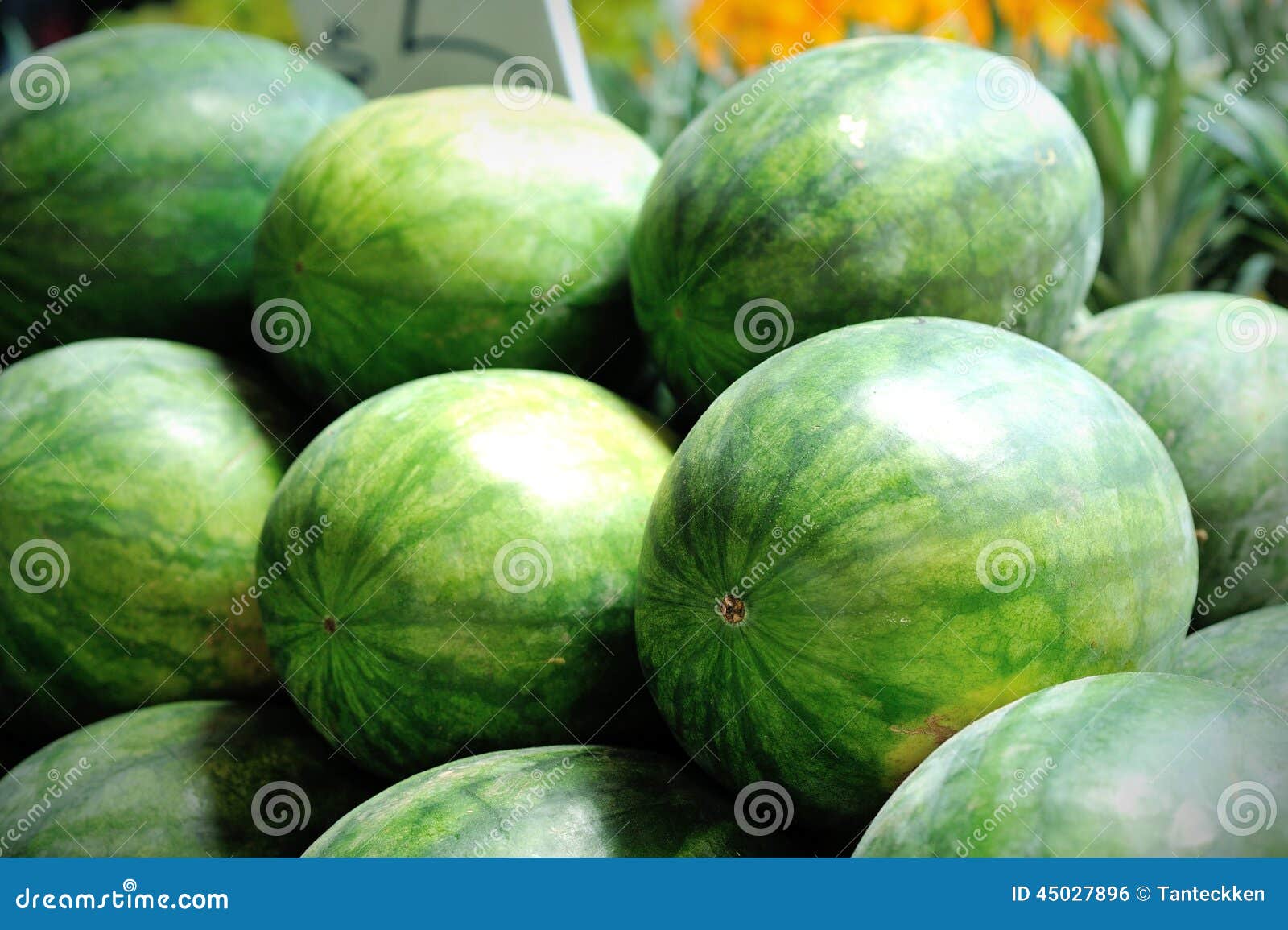 Fresh green watermelons stock photo. Image of natural 45027896