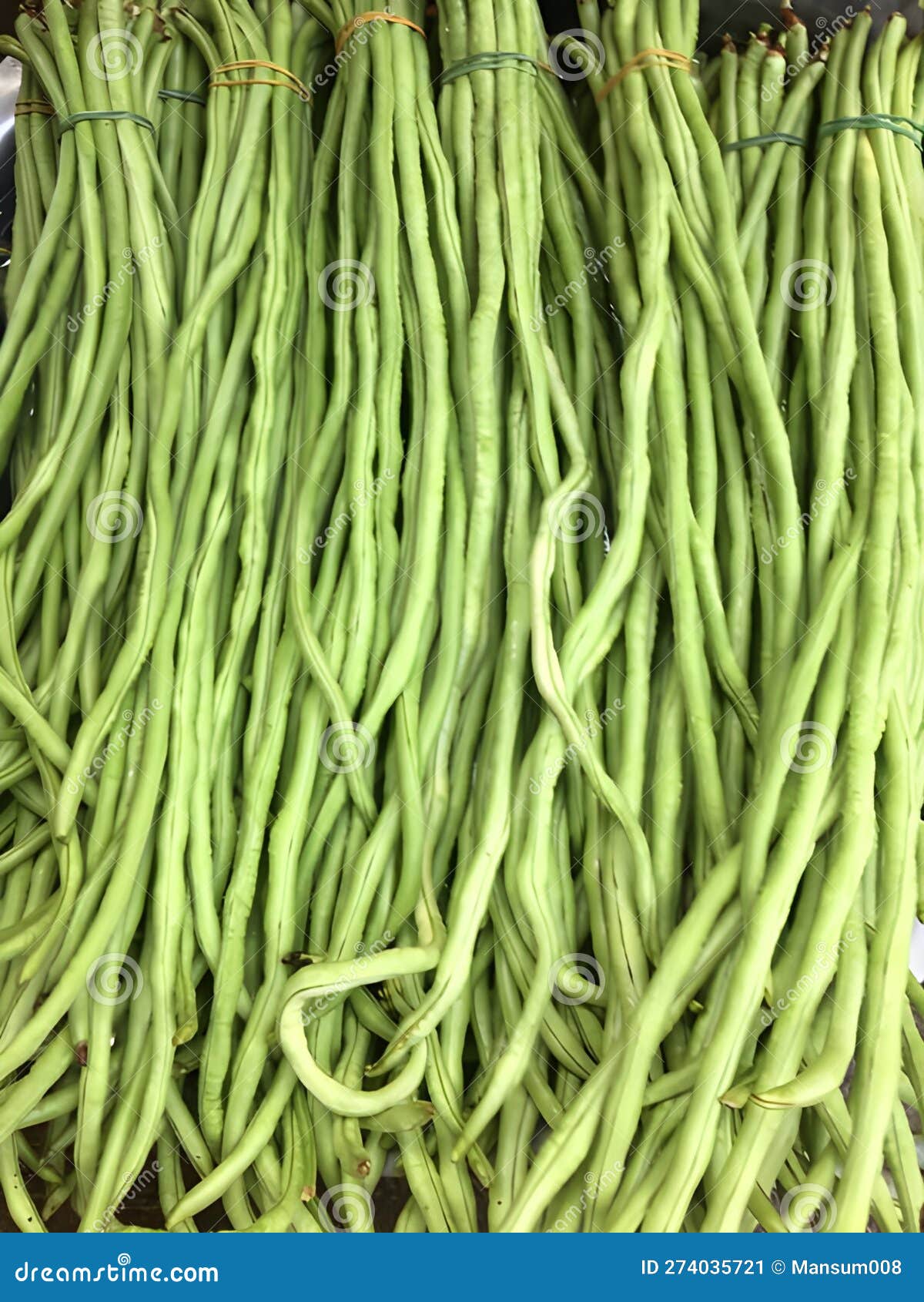 Fresh Green Yard Long Beans in the Market Stock Image Image of agriculture, plant 274035721