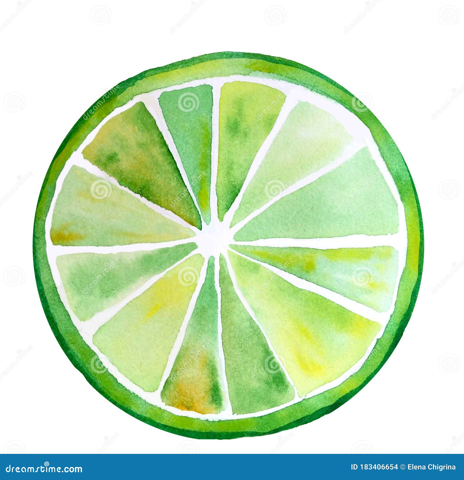 fresh green and yellow lime slice . watercolor stylized . segment closeup, one slice, macro, round icon