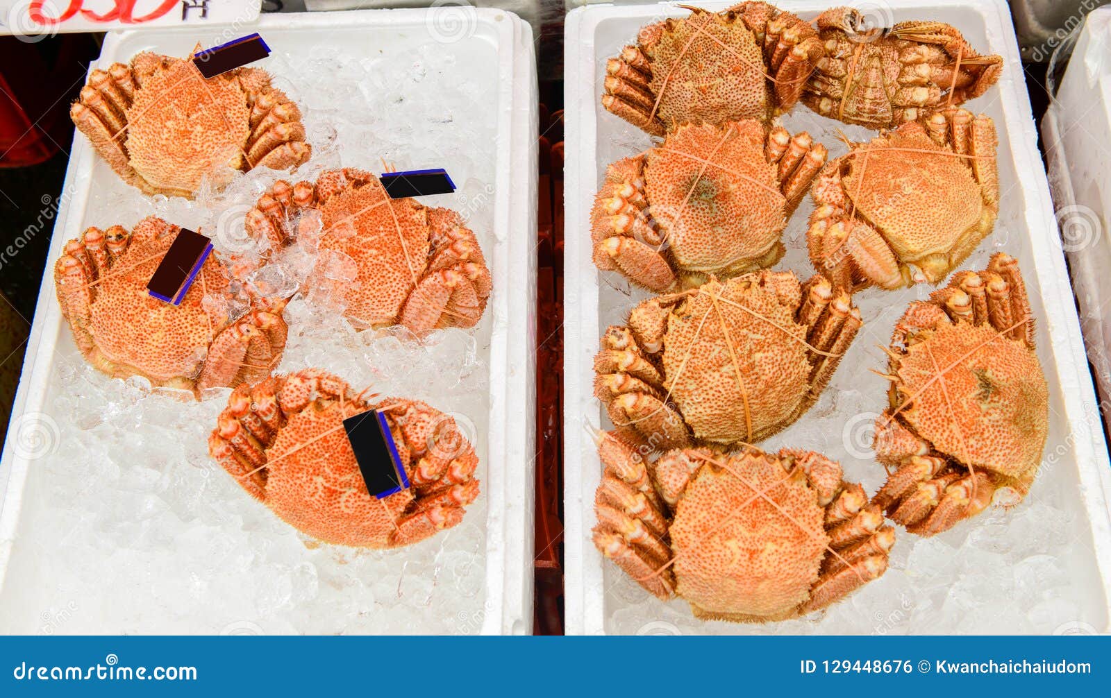 fresh hairy crab or kegani in asaichi morning market,