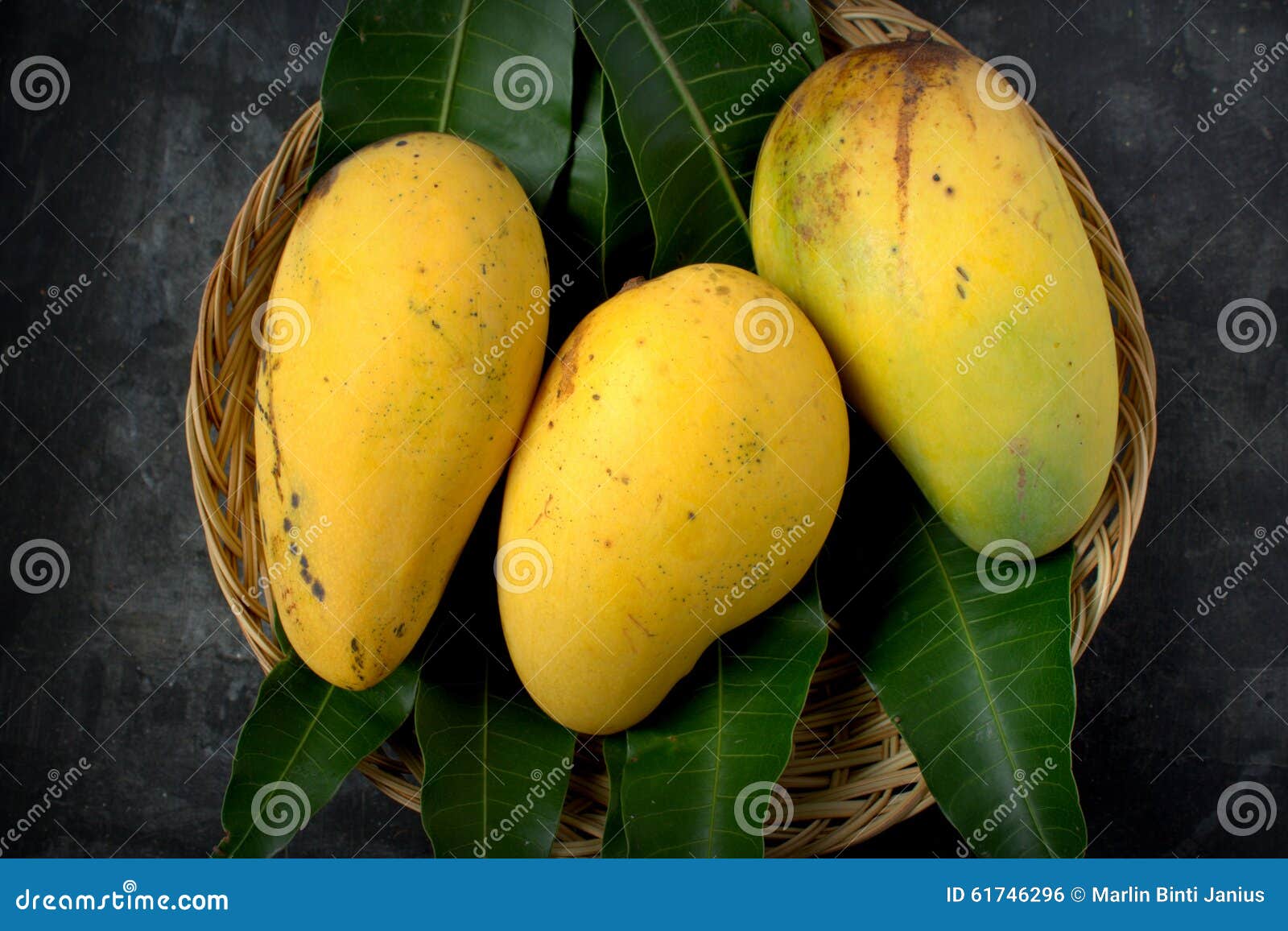 Fresh harvest mango stock photo. Image of diet, agriculture 61746296