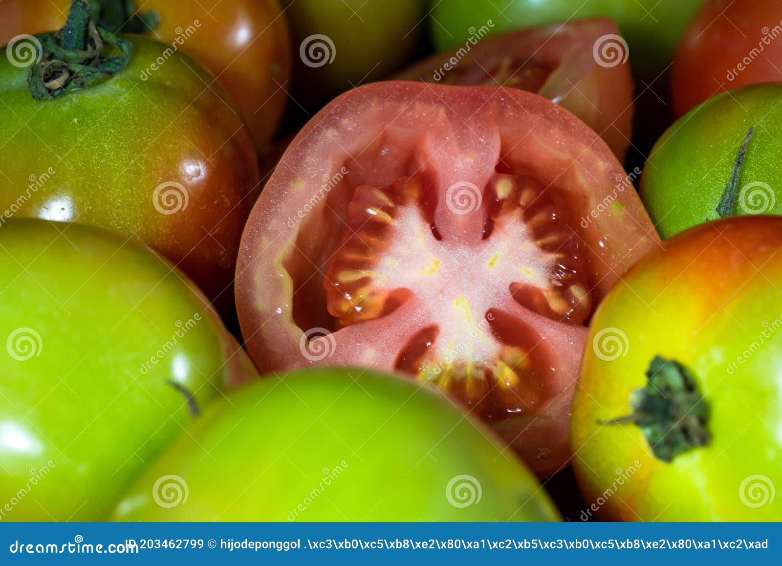 Fresh Harvest of Ripe Tomato for Cooking Ingredient Stock Image Image