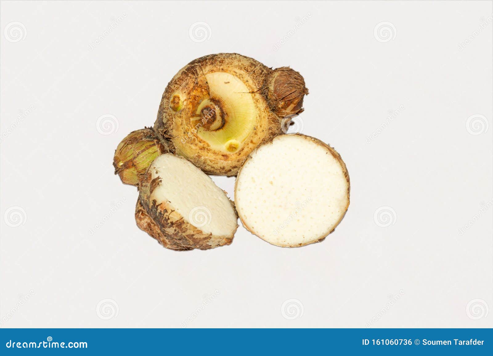 fresh harvested organic taro corms,satoimo potatoes or taro roots on white background