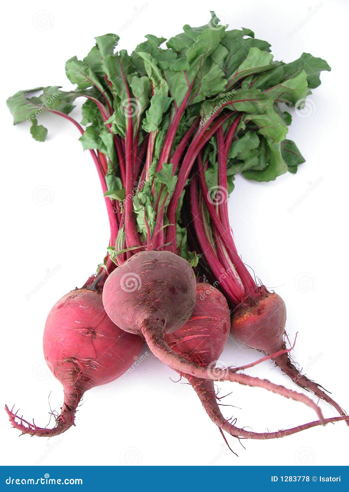 Fresh Healthy Bunch of Beetroot Stock Photo Image of rube, leaves