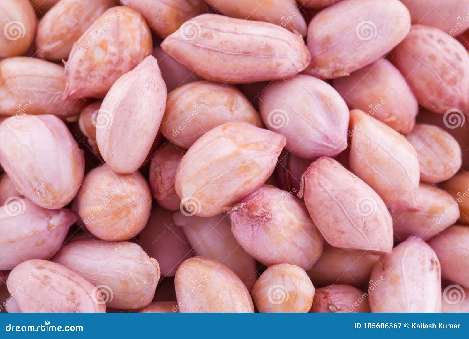 Raw Peanuts stock image. Image of isolated, ingredient 105606367