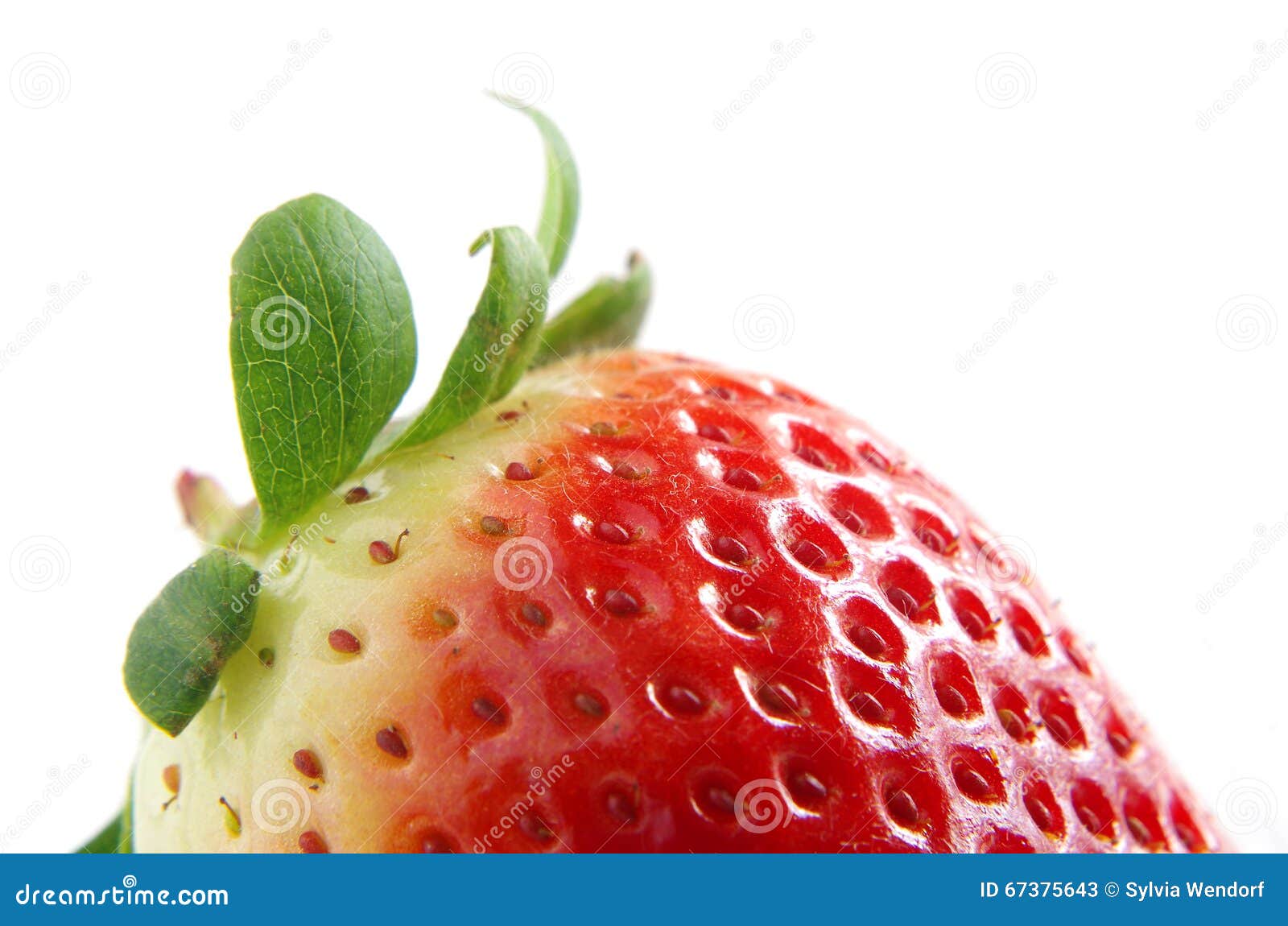 Fresh and Healthy Strawberries Stock Image Image of freshness, copy