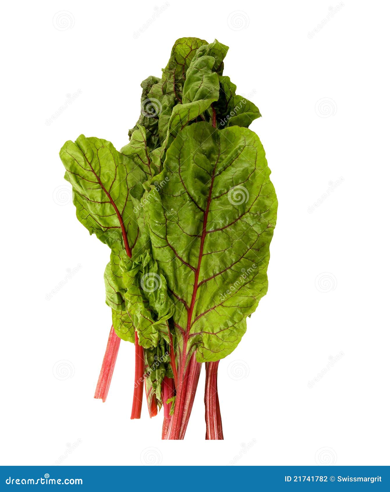 Fresh healthy swiss chard stock photo. Image of green 21741782