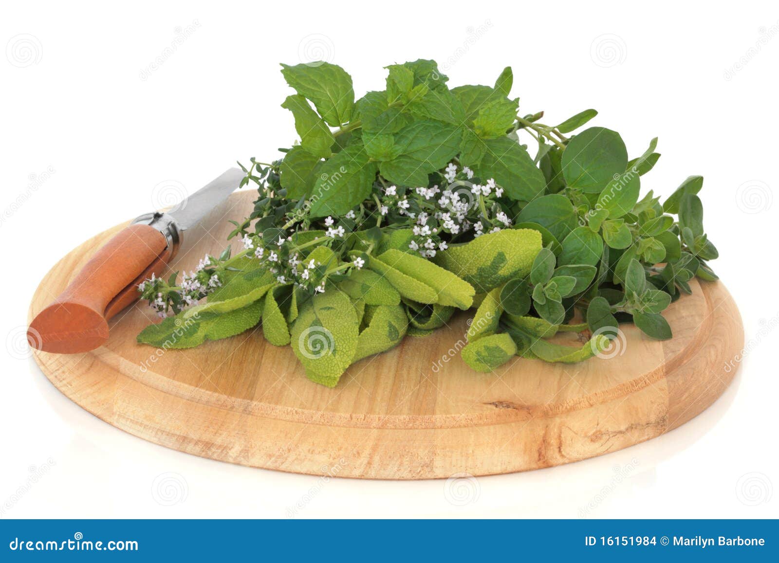 Fresh Herb Leaves stock photo. Image of healthy, herb 16151984