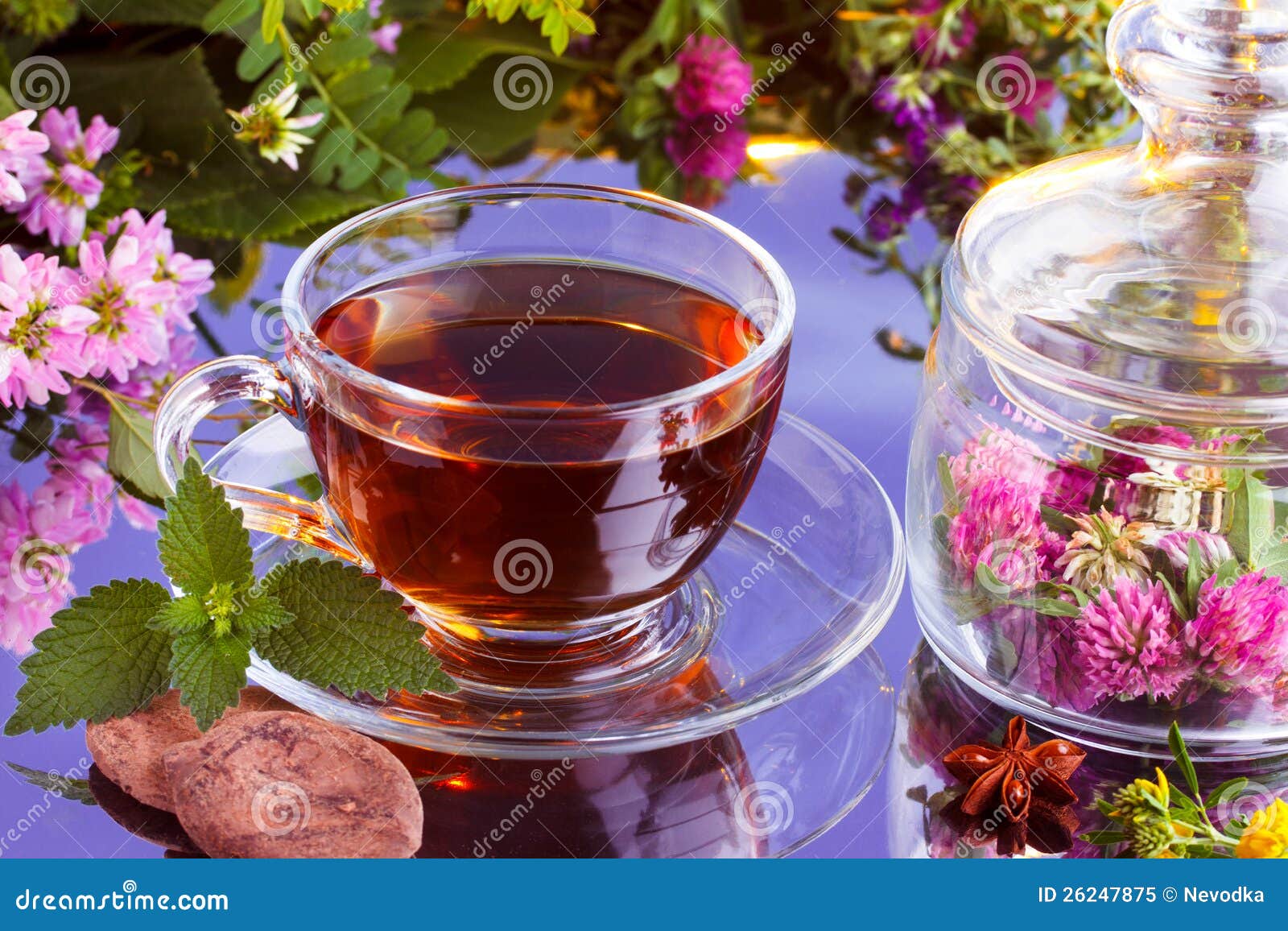 Fresh Herbal Tea with Cocoa Stock Image Image of beam, chinese 26247875