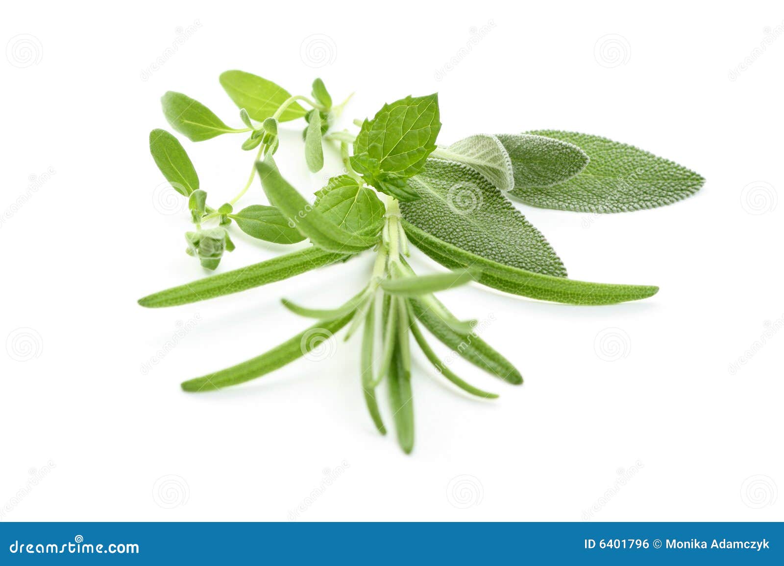 Fresh herbs stock photo. Image of leaf, savory, seasoning 6401796