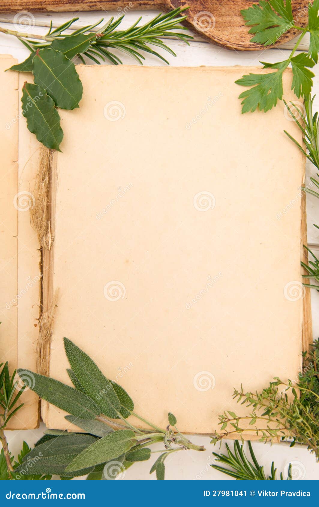 Fresh Herbs Background Stock Image Image Of Background