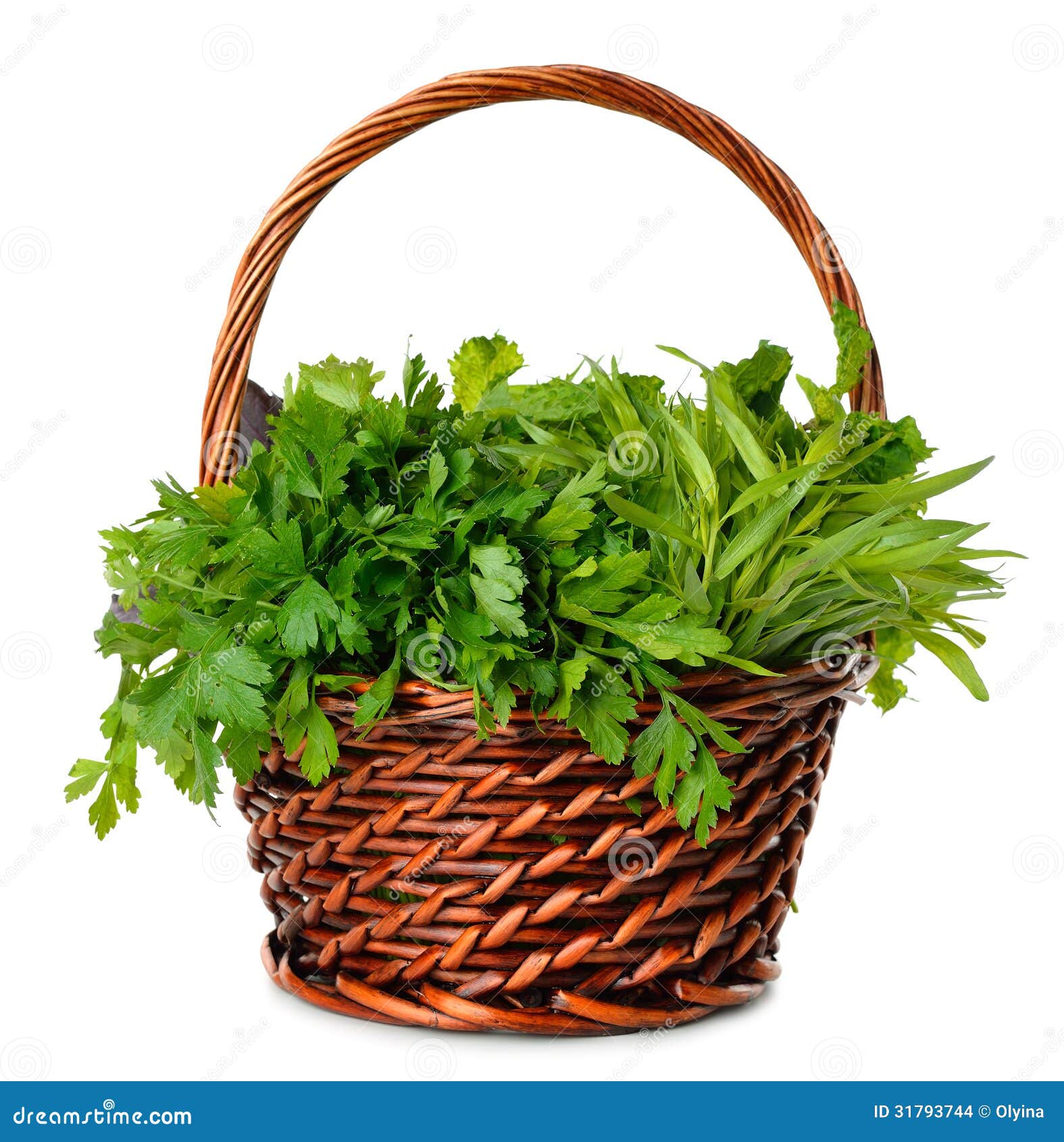 Fresh herbs in a basket stock photo. Image of harvest 31793744