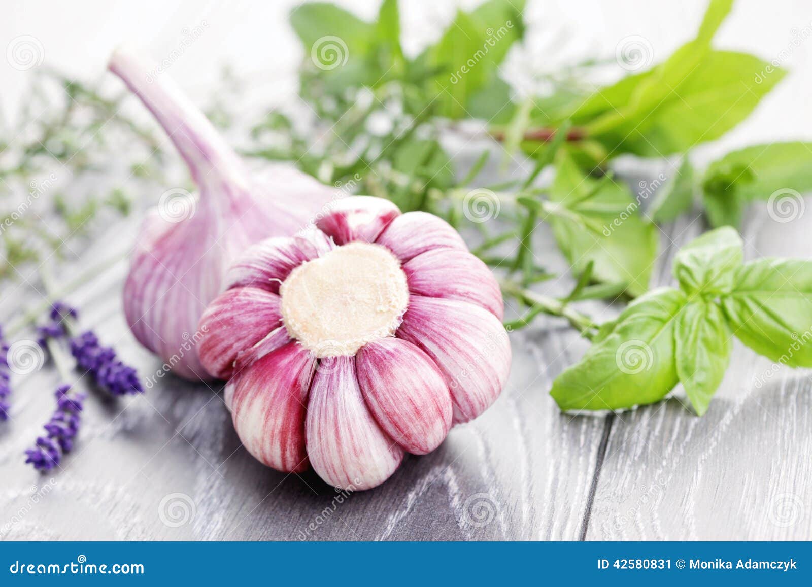 Fresh herbs stock image. Image of dill, alternative, healthy 42580831