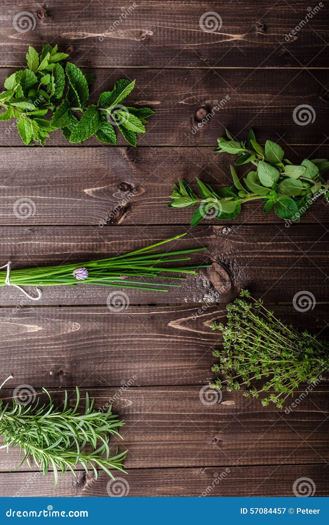 Fresh Herbs from the Organic Garden Stock Image Image of herb, basil 57084457