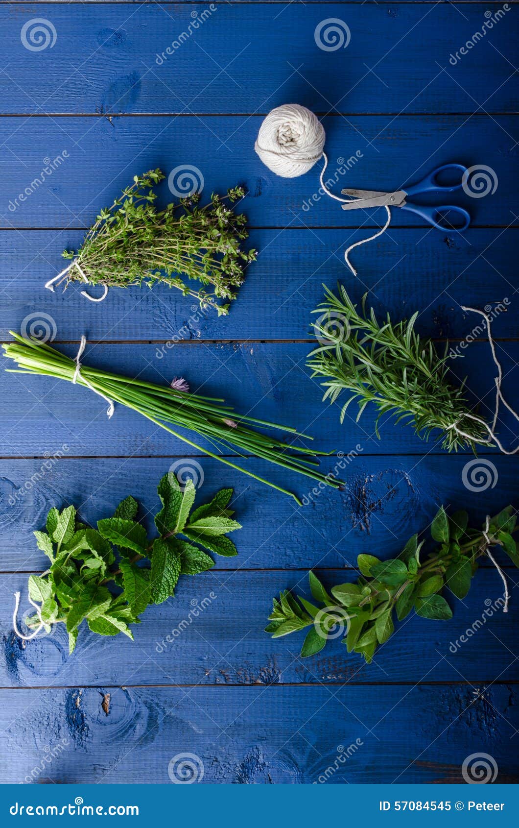 Fresh Herbs from the Organic Garden Stock Image Image of gardening
