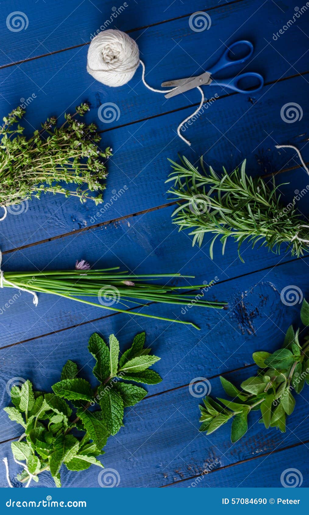 Fresh Herbs from the Organic Garden Stock Photo Image of cooking