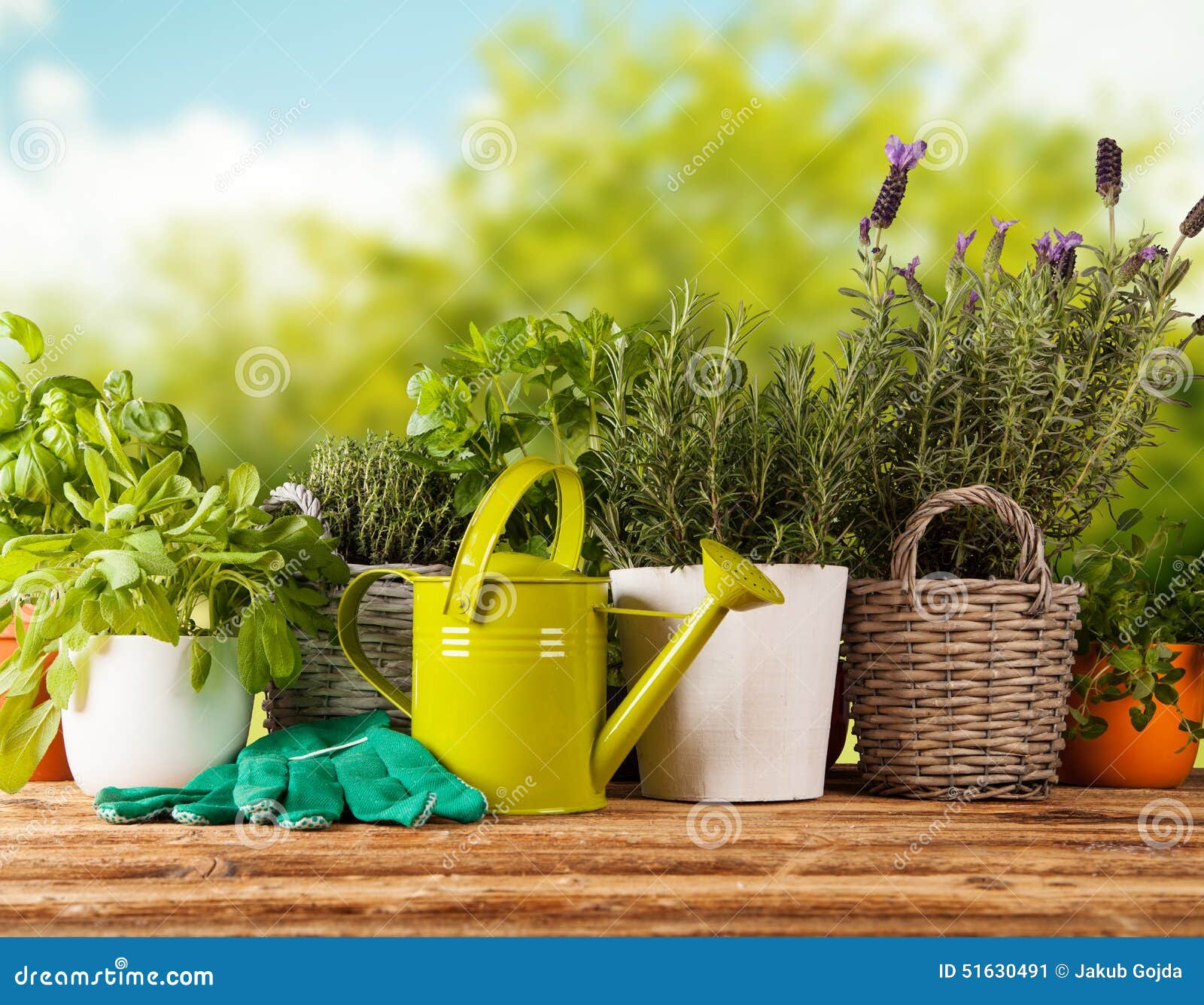 Fresh herbs in pots stock image. Image of ingredient 51630491