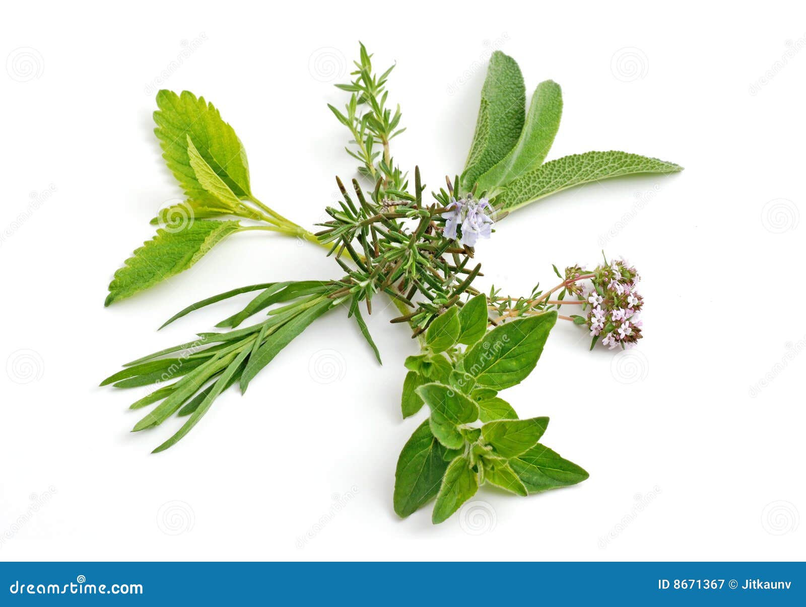 Fresh herbs, spice stock image. Image of flavor, flavour 8671367
