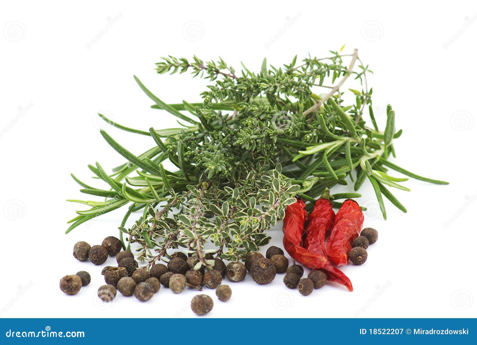 Fresh herbs and spices stock image. Image of herb, collection 18522207
