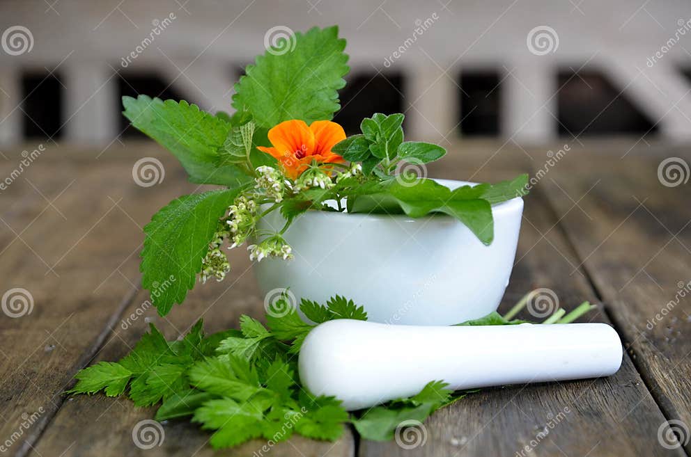 Fresh herbs vitamins stock photo. Image of garden, cook 20868972