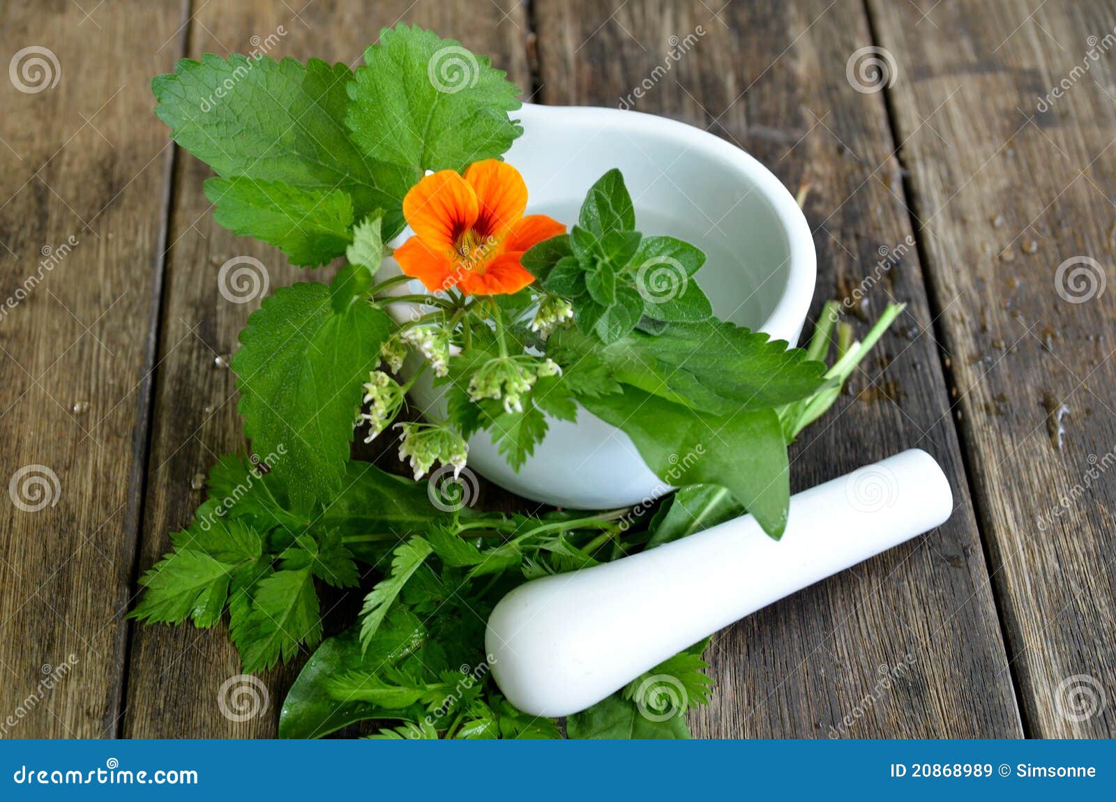 Fresh herbs vitamins stock image. Image of knife, gardening 20868989
