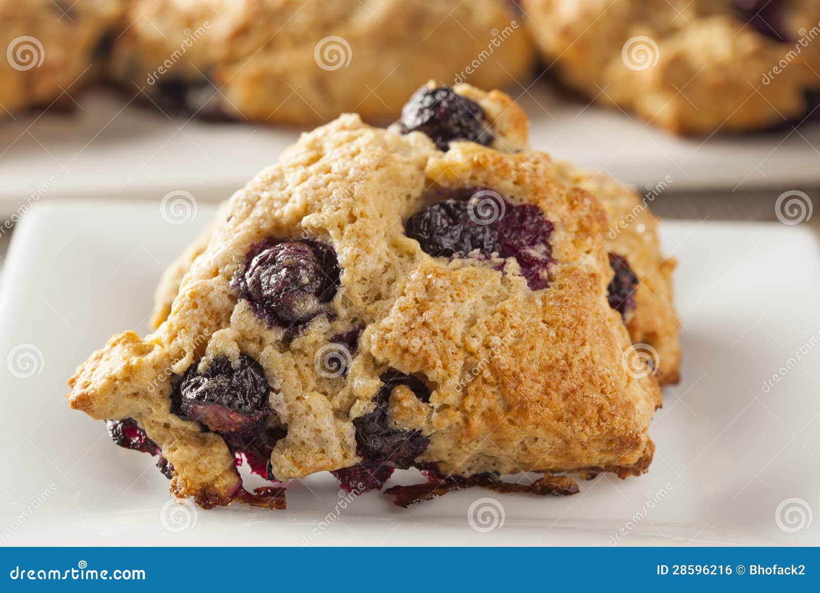 Fresh Homemade Blueberry Breakfast Scones Stock Photo Image of bread