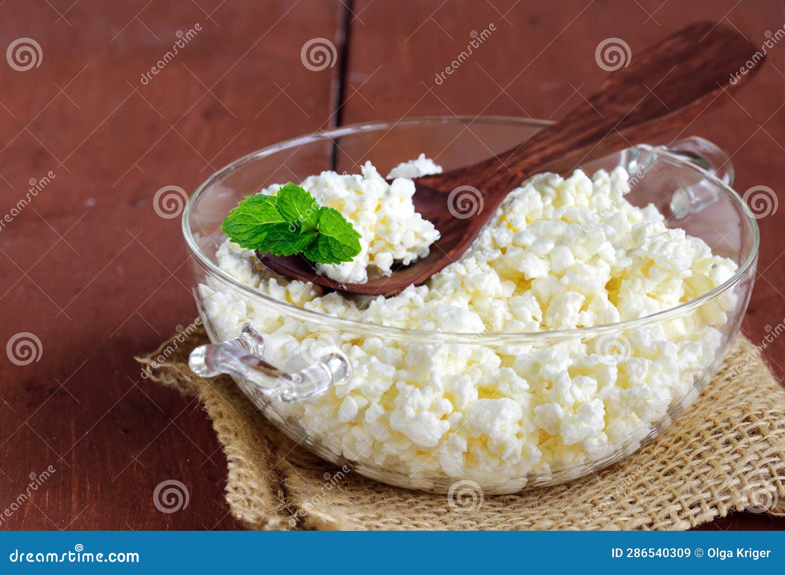 Homemade Organic Cottage Cheese Stock Image Image of curd, white