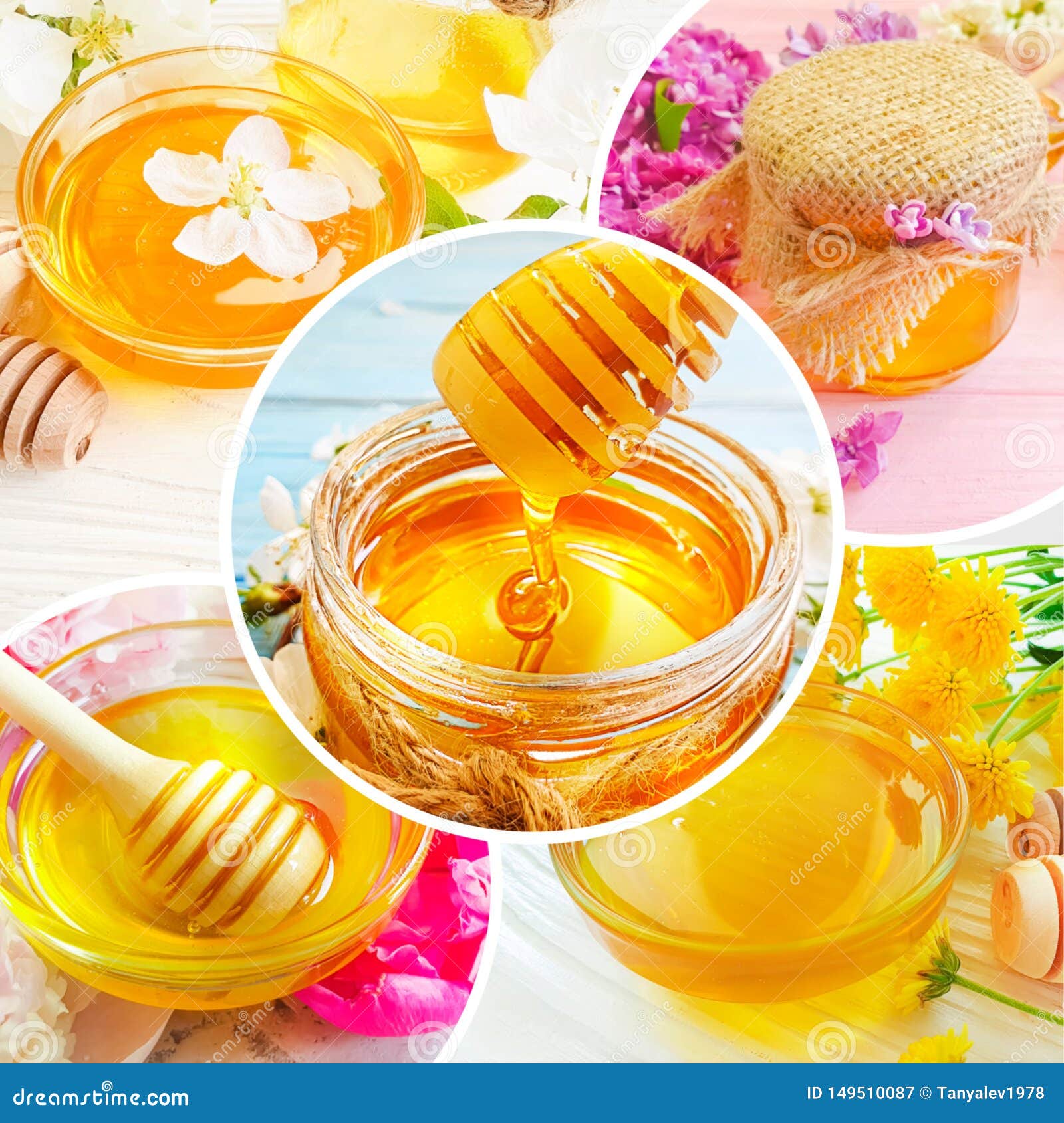 Fresh Honey Cherry Blossoms Collage Stock Image Image of sticky