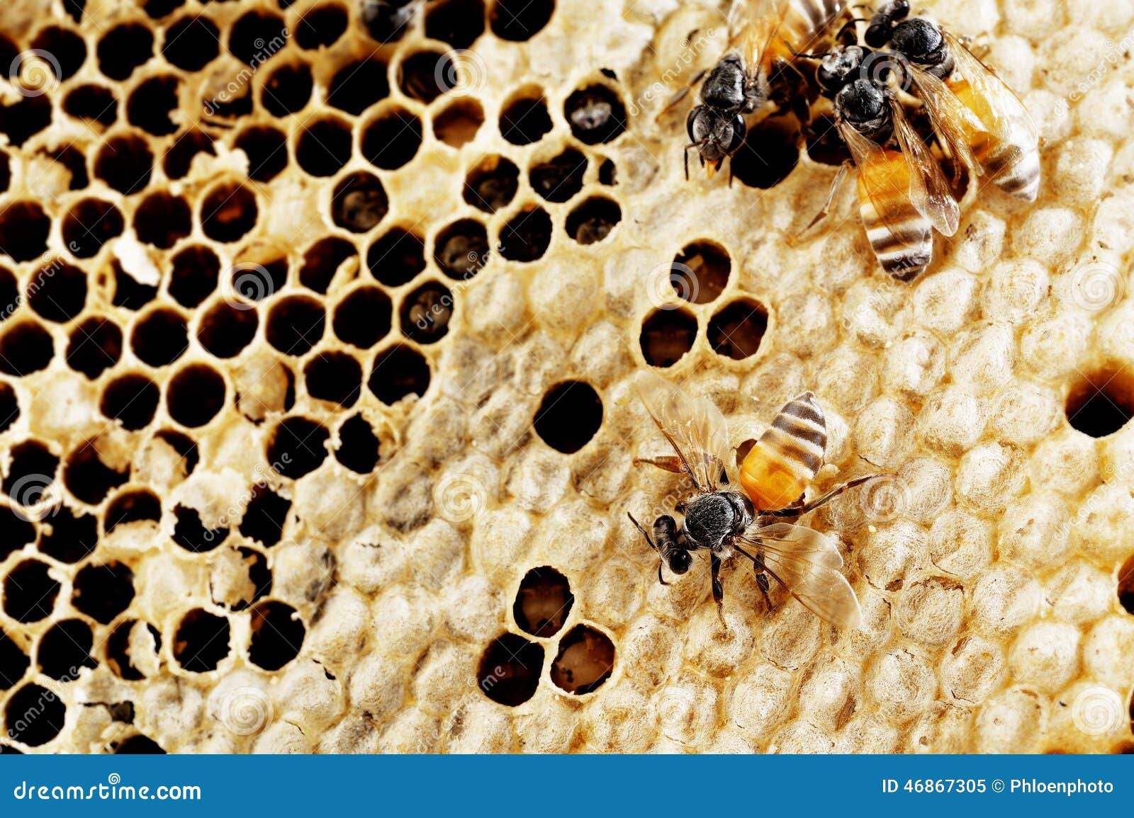 Fresh stock image. Image of pattern, shape 46867305