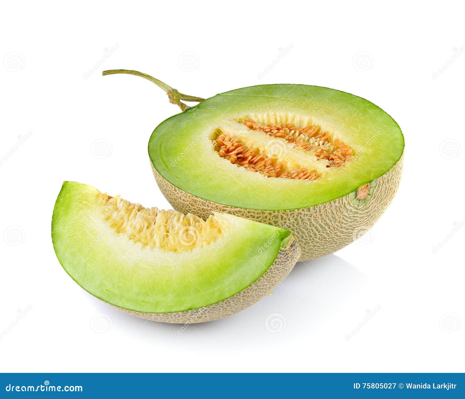 Fresh Honeydew Melon on White Background Stock Image Image of shot