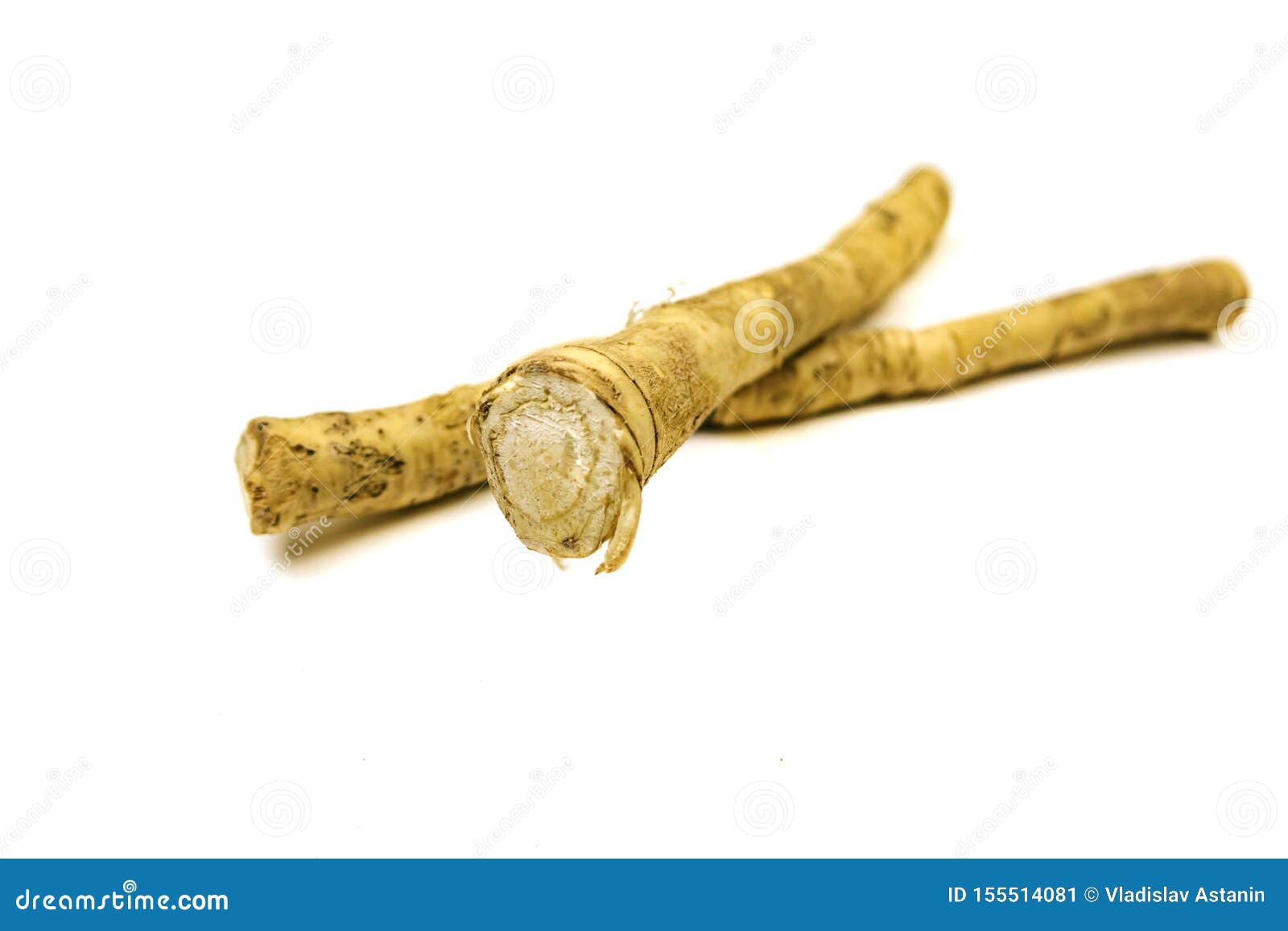 Fresh Horseradish Root Isolated on White Background Stock Image Image